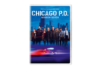 Chicago P.D. Season 7 DVD 2020 Crime Action Suspense Drama Series TV Series DVD Wholesale